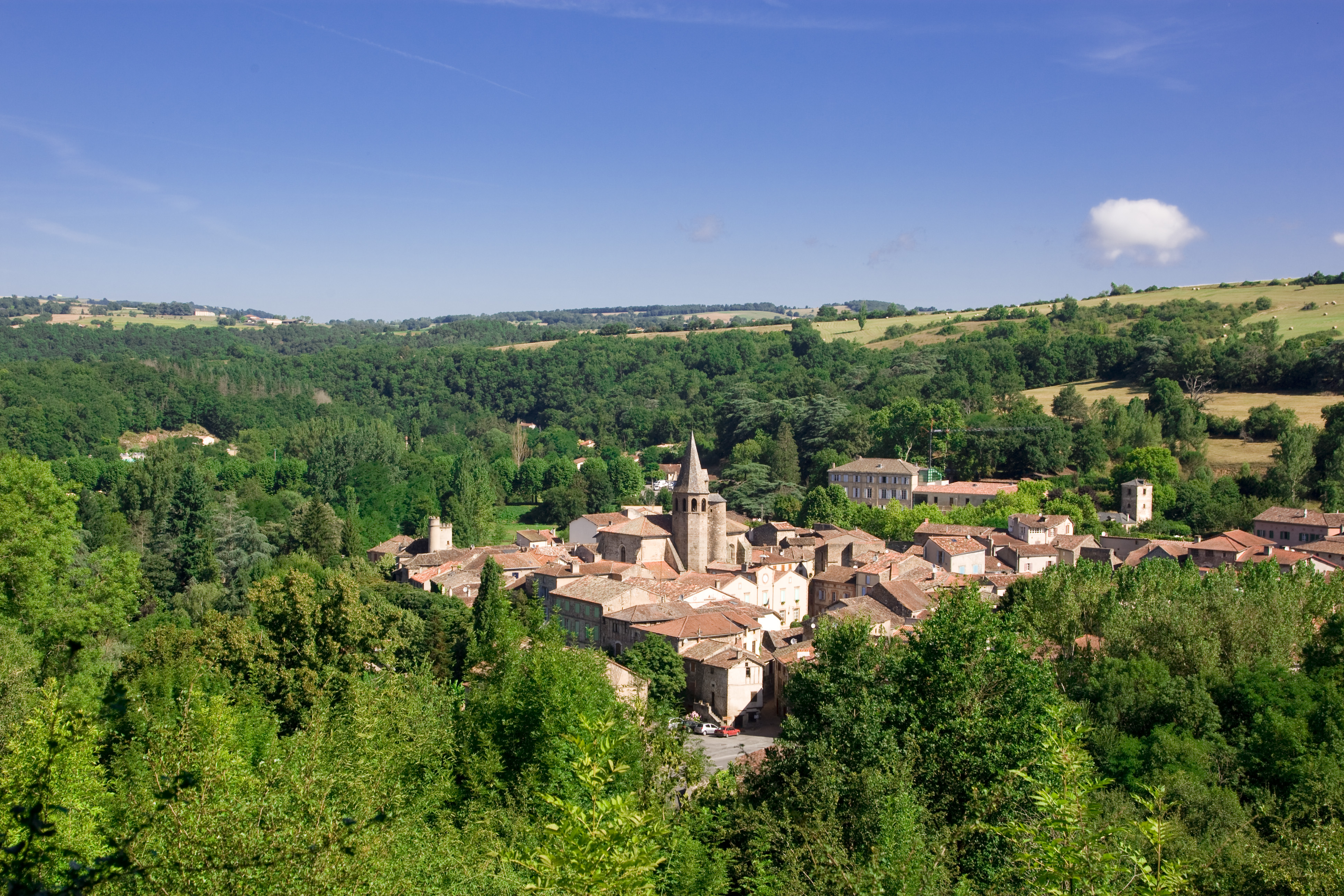 albi paysage