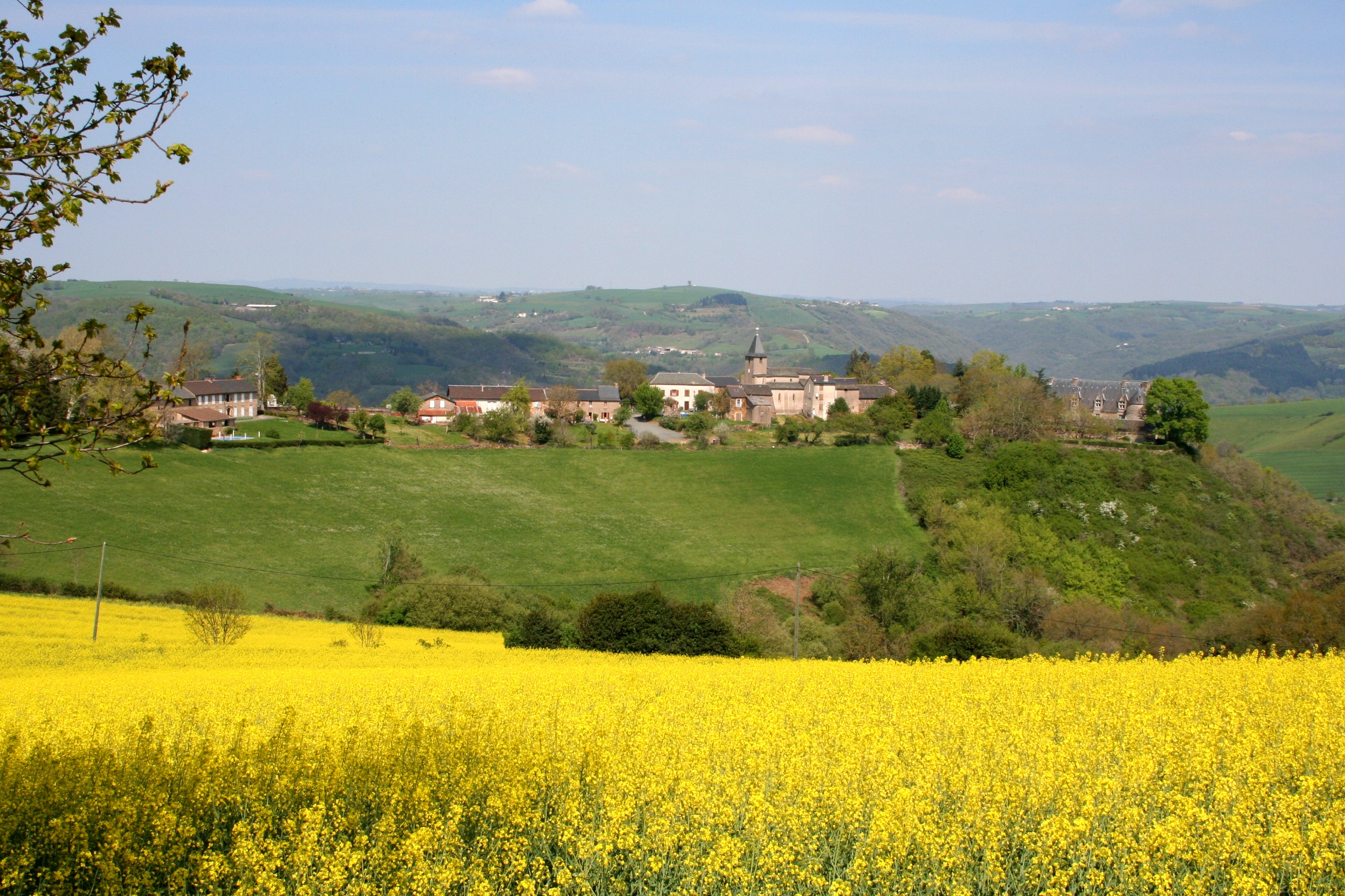 albi paysage