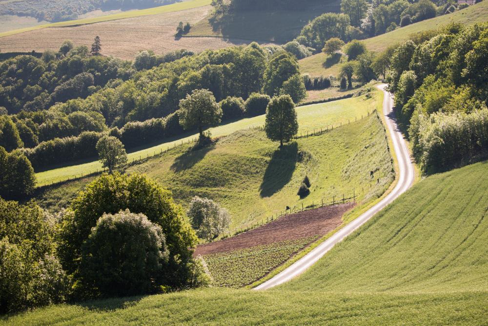 Dans la vallée du Tarn (photo Dominique Delpoux)