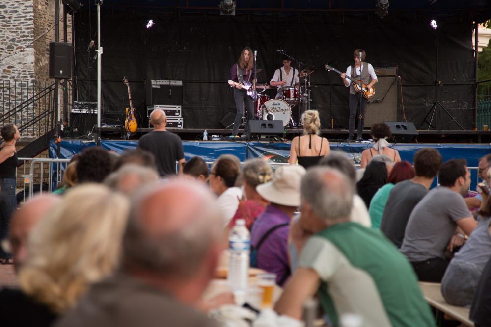 Festival Presqu'iles Blues à Ambialet (photo Dominique Delpoux)