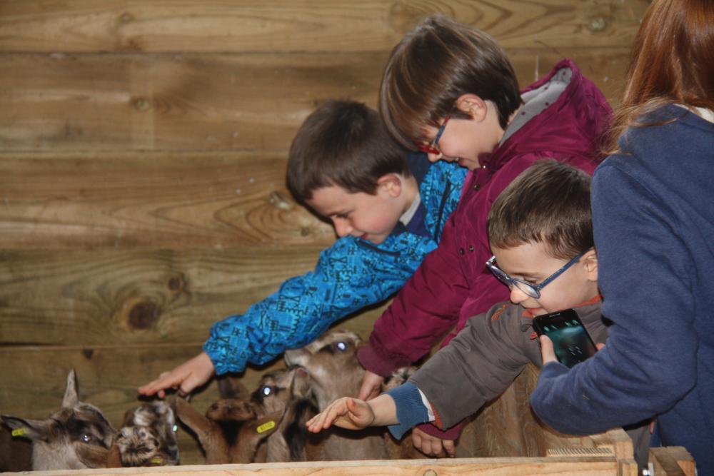 Visite à la ferme Saint Antonin de Lacalm