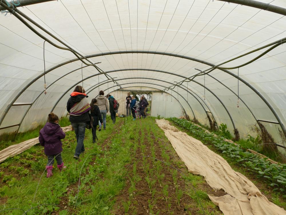 Visite à la ferme Crespinet