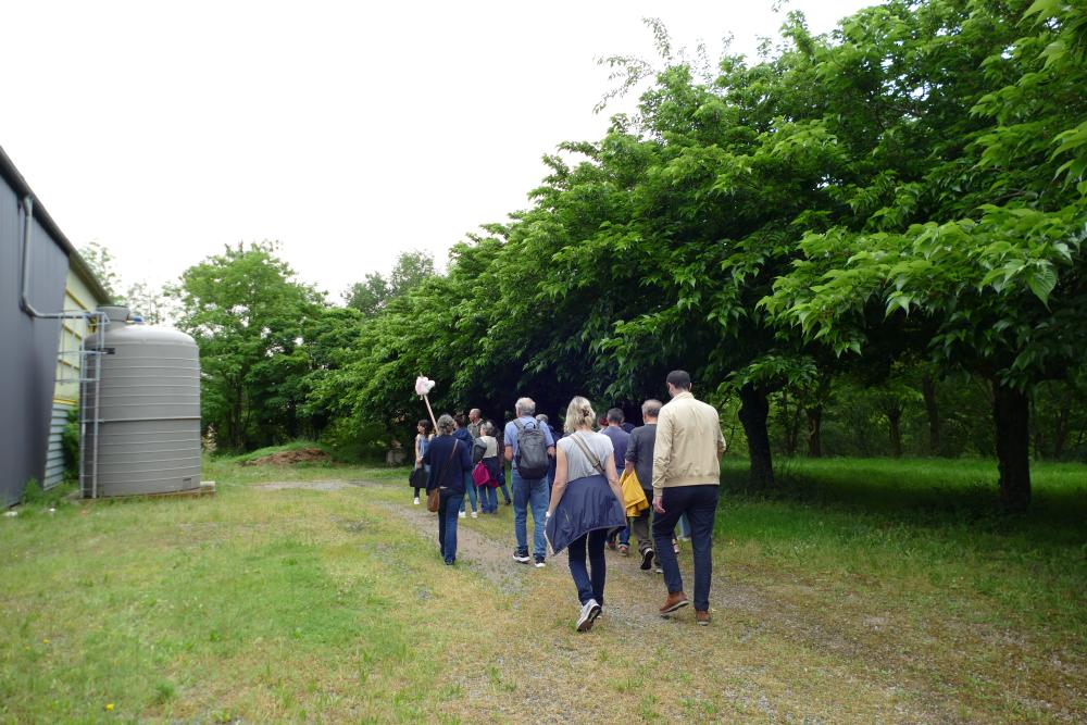 Climat tour carmausin