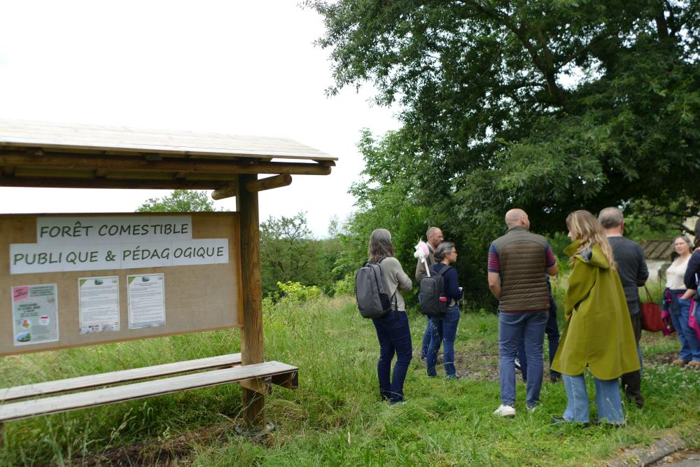 Climat tour carmausin