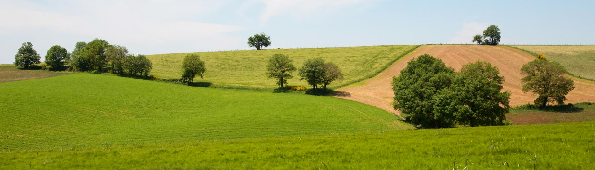 Paysages agricoles