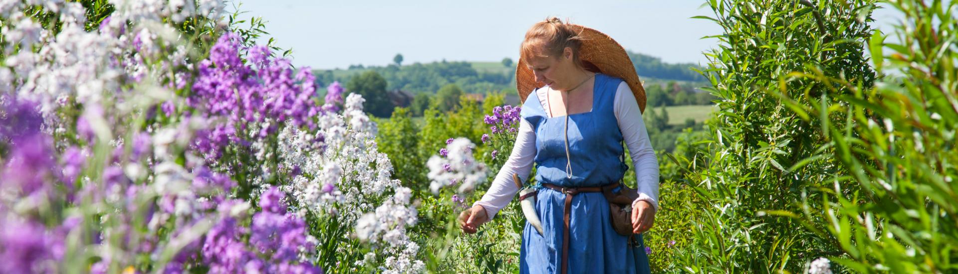 Jardin médiéval à Padiès