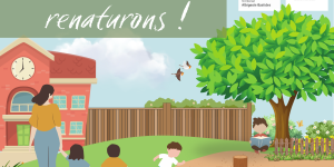 Cours d'écoles en transition