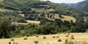 Lancement du projet Graines d’Avenir