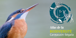 Un Atlas de la biodiversité sur le Carmausin-SégalaUn Atlas de la biodiversité sur le Carmausin-Ségala