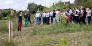 Une forêt comestible à Saint-Benoît-de-Carmaux