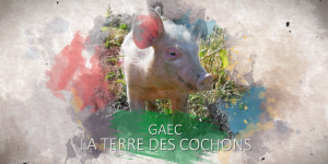 Gaec La terre des cochons à Cadix