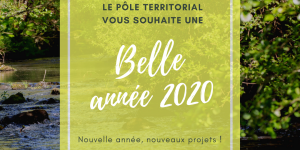 Meilleurs vœux 2020